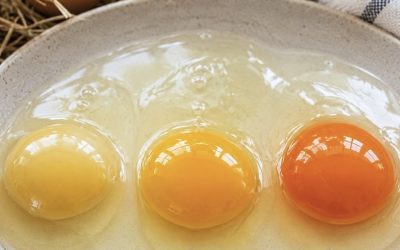 How many eggs are in the pan!?