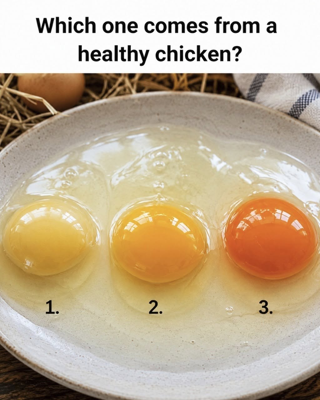 How many eggs are in the pan!?