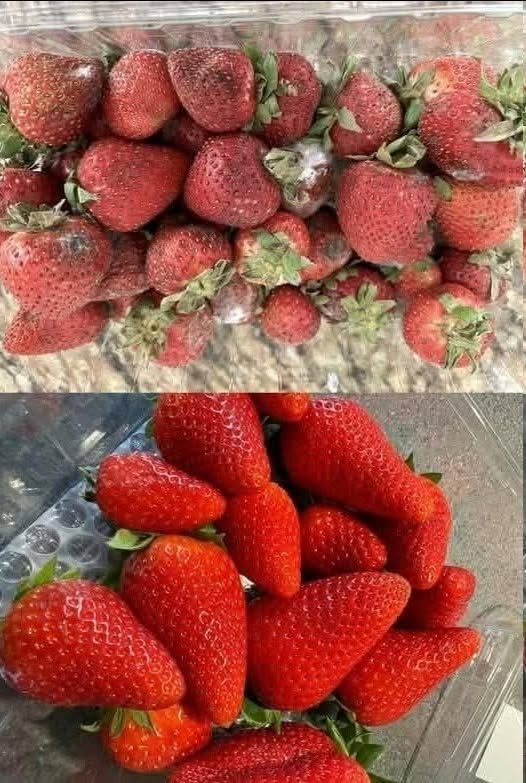 How to Keep Strawberries Fresh Longer: 7 Expert Tips to Prevent Mold and Spoilage