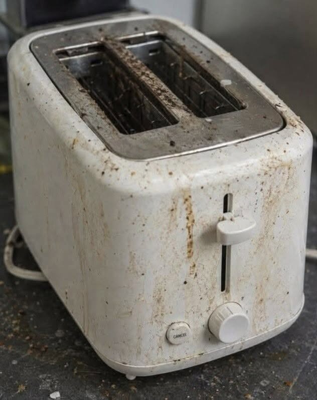 Your Toaster Is Grosser Than You Think