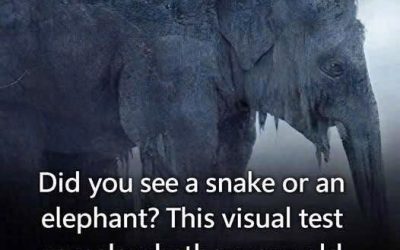 What did you see at first sight? 97% of people saw a snake! Find out if your old age will be bitter or sweet!