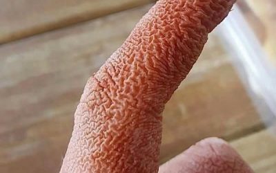 ALERT: These are the signs that it is cre…See more