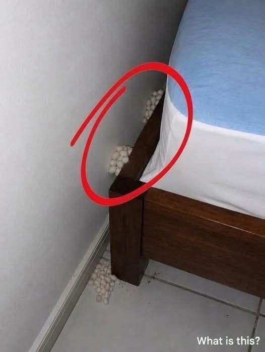 I Found Mysterious White Objects on My Bedroom Floor — The Truth Left Me Amazed