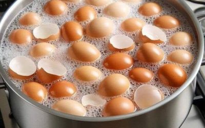 Stop throwing them away. Boil eggshells and say goodbye to… Show more